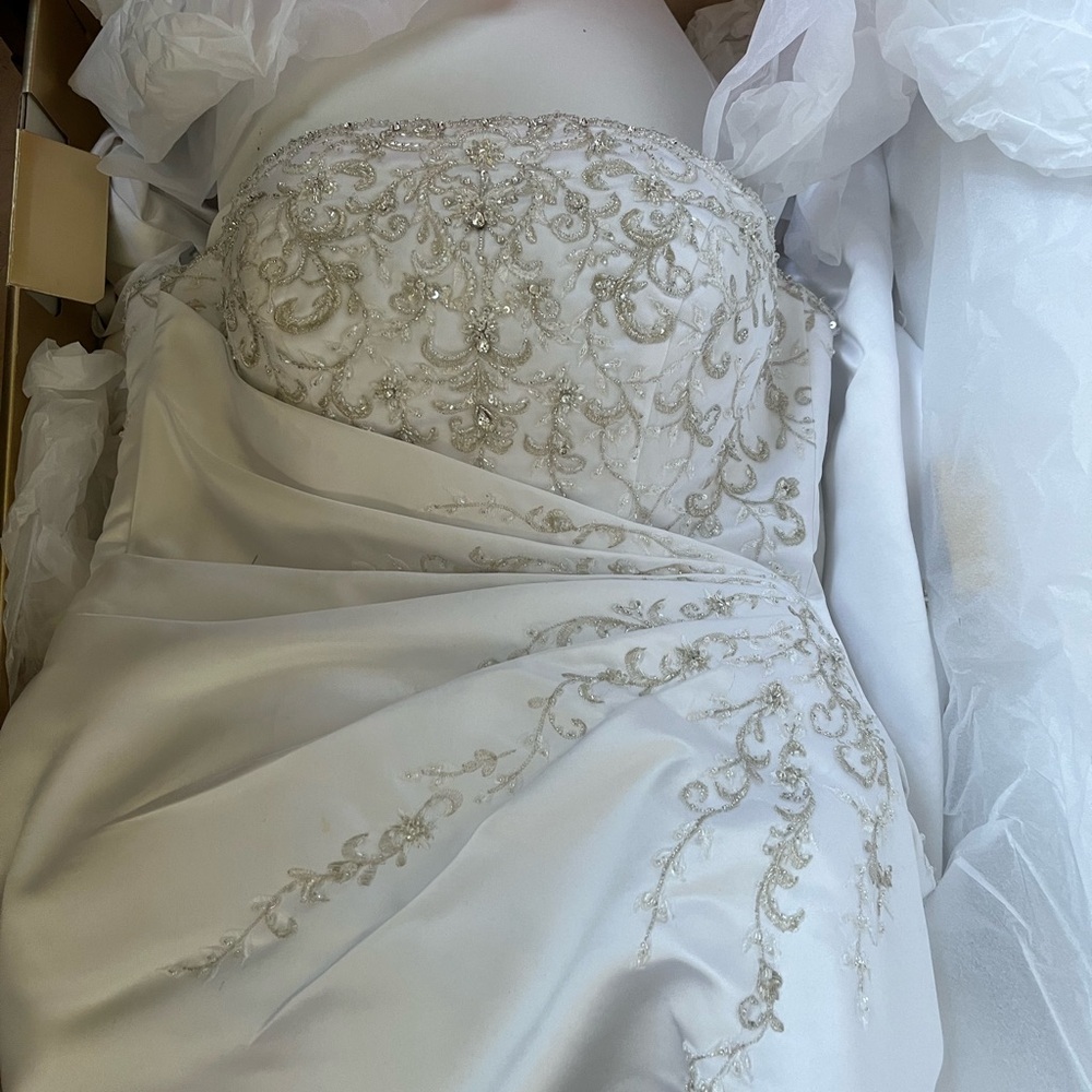 Signature Studio Ivory Bridal Gown with Silver Detailing